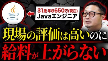 「後輩の年収聞いて絶望した」SESの評価制度に限界を感じた結果【Javaフリーランス】