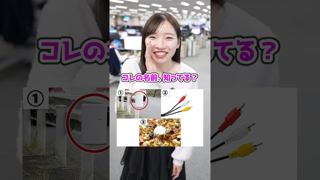 「身近なアレ」の正式名称、知ってる？🍕  #雑学 #IT #就活 #転職 #企業 #Sky株式会社 #shorts