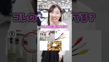 「身近なアレ」の正式名称、知ってる？🍕  #雑学 #IT #就活 #転職 #企業 #Sky株式会社 #shorts
