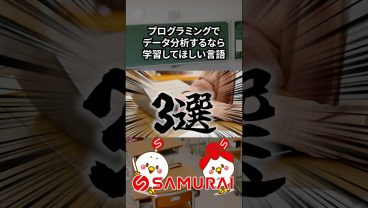 【学習する言語迷子に送る③】データ分析するなら学習して欲しい言語3選！