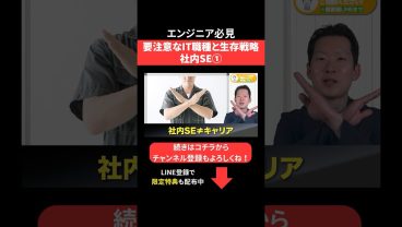 要注意なIT職種と生存戦略🧑‍💻社内SE① #エンジニア転職 #モロー
