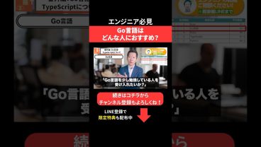 Go言語はどんな人におすすめ？ #エンジニア転職 #モロー