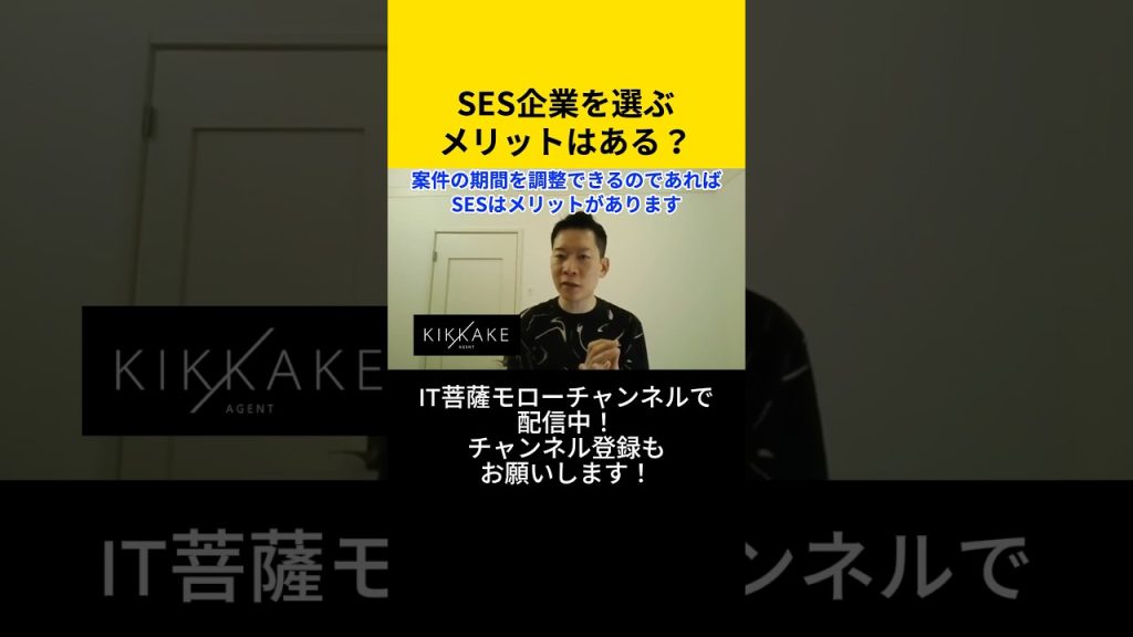 SES企業を選ぶメリットはある？ #エンジニア転職 #モロー